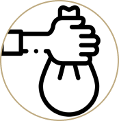 Ellipse 24